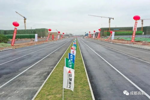 飛上萬米高空看天府國際機(jī)場，神鳥這樣展翅