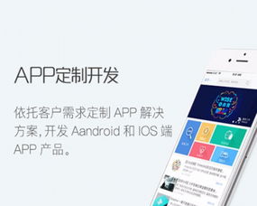 科技引領(lǐng)，匠心打造 中軟硅谷信息科技的 App 開(kāi)發(fā)與網(wǎng)站推廣之道